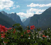 View mountains
